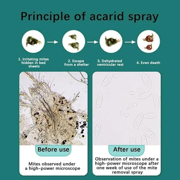 Powerful_Mite_Removal_Spray_Effective_Solution_For_A_Clean_Home