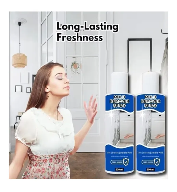 Bm_Mold_Remover_Spray_For_Tiles,_Stones_&_Marble_Walls