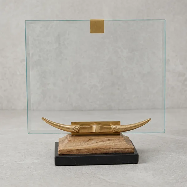 Mango_Wood_Brass_Marble_Longhorn_Photo_Frame_8X10