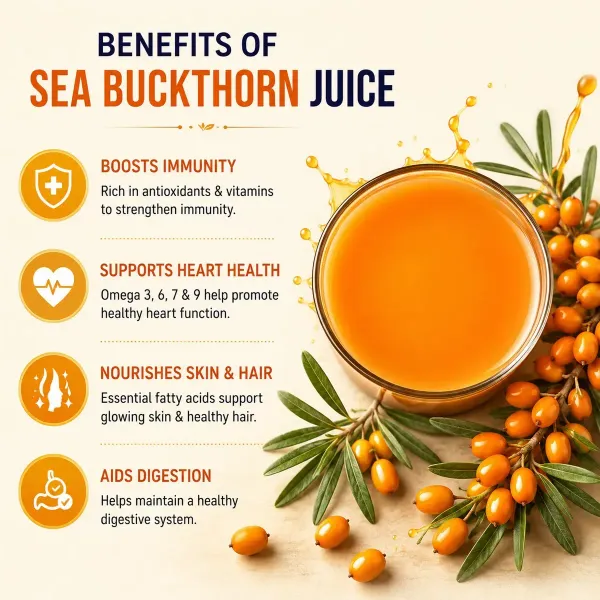 100%_Natural_Himalayan_Sea_Buckthorn_Pulp_Pure_Superfood_For_Immunity,_Skin_&_Daily_Wellness