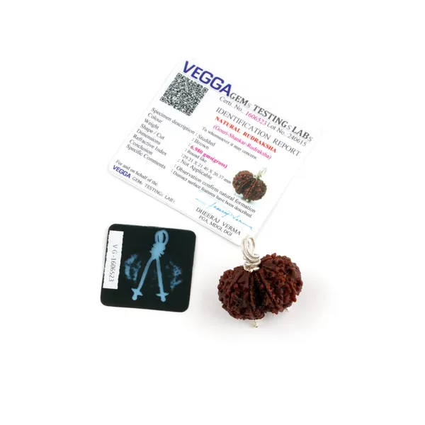 Gouri_Shankar_Natural_Rudraksha_Bead