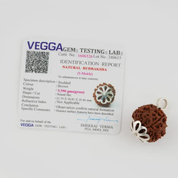Natural_5_Mukhi_Rudraksha_Bead