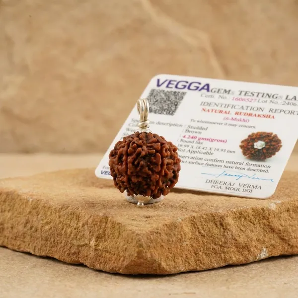 Natural_6_Mukhi_Rudraksha_Bead