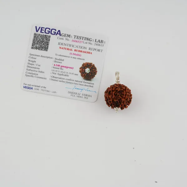 Natural_6_Mukhi_Rudraksha_Bead