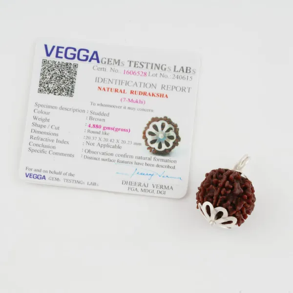 Natural_7_Mukhi_Rudraksha_Bead