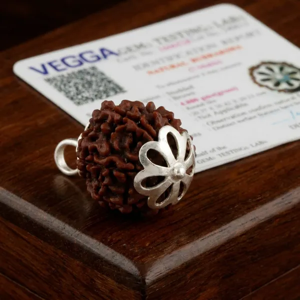 Natural_7_Mukhi_Rudraksha_Bead