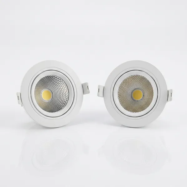 TE_LED_FELXI_COB_PVC_LIGHT
