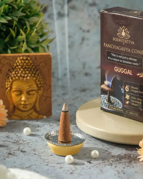 Panchagavya_Cones_Guggal_-_25_Pcs_Per_Pack