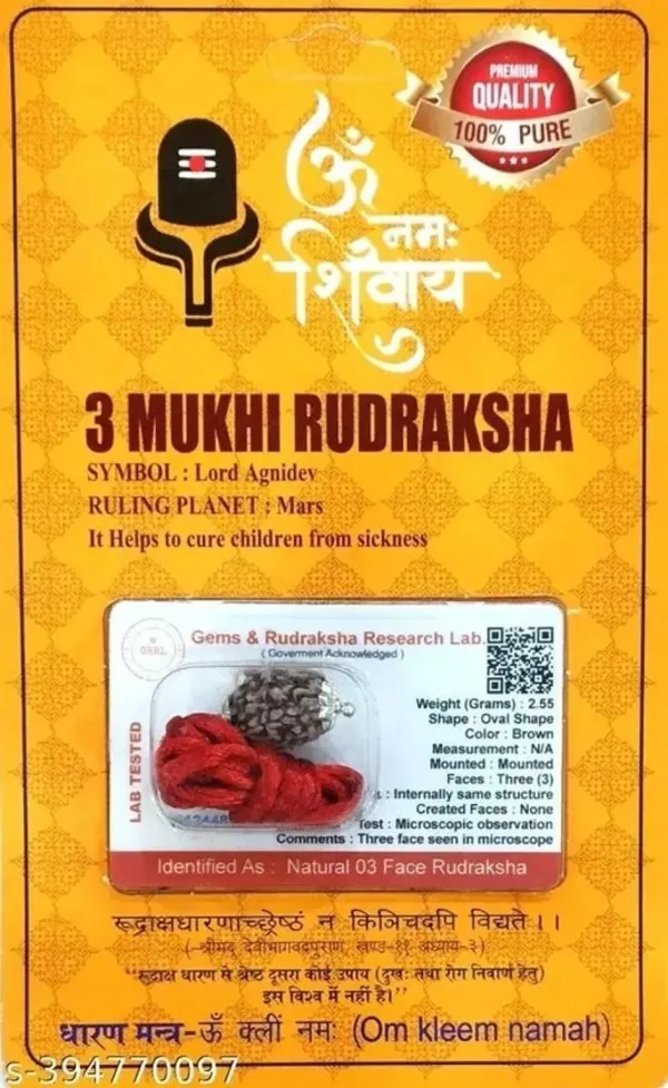 3_Mukhi_Rudraksha_(Three-Faced_Rudraksha)