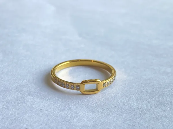 Gold-Tone_18Kt_Stainless_Steel_Stone_Segmented_Band_Ring_For_Women