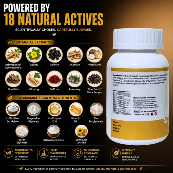 T_Rex_Men_S_Vitality_Energy_Support_Formula_60_Capsule