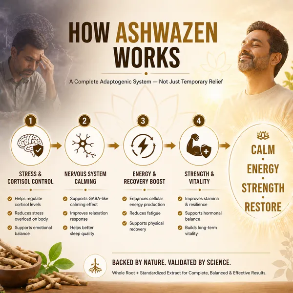 Ashwazen_Broad_Spectrum_Ashwagandha_60_Capsule