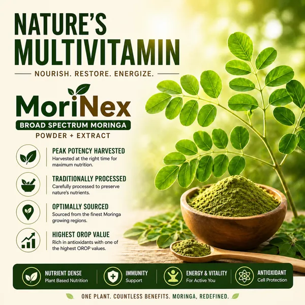 Morinex_Holistic_Wellness_Natural_Energy_Support_60_Capsule