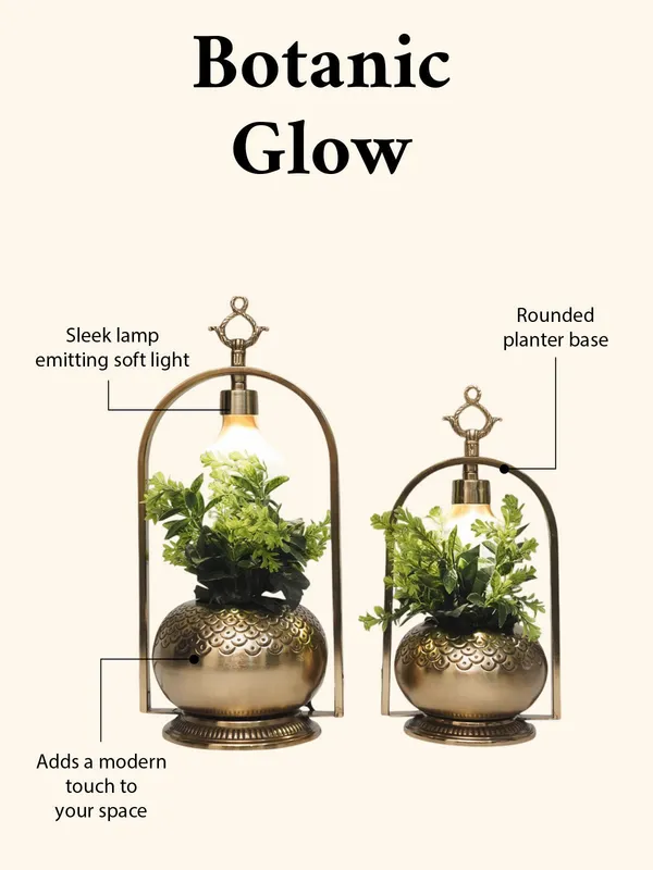 Botanic_Glow_(_Set_Of_2_Pcs)