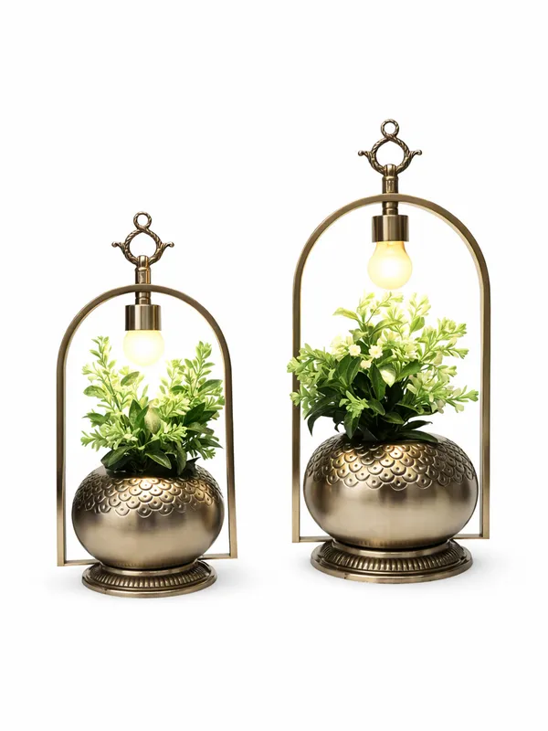 Botanic_Glow_(_Set_Of_2_Pcs)
