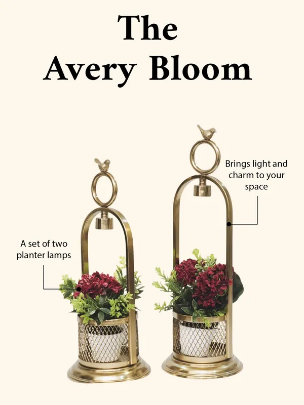 The_Avery_Bloom_(_Set_Of_2_Pcs)