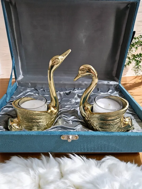 Swanlight_Duo
