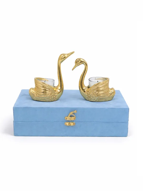 Swanlight_Duo