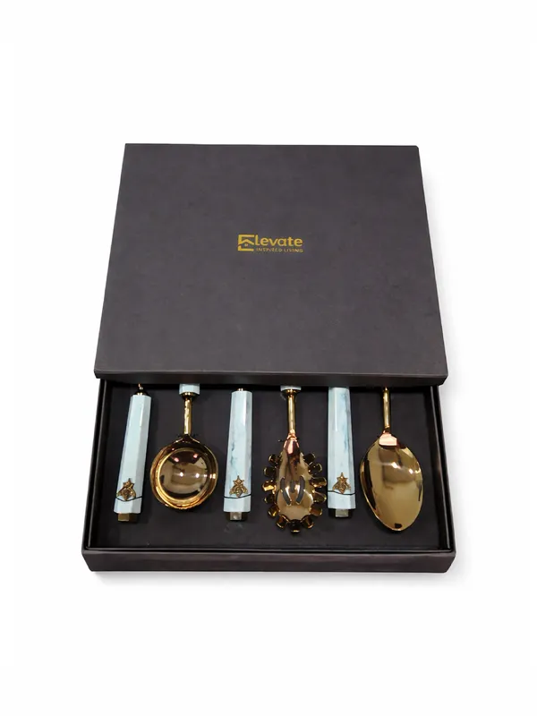 Golden_Hive_Serving_Spoon_Set_Of_6_Pcs