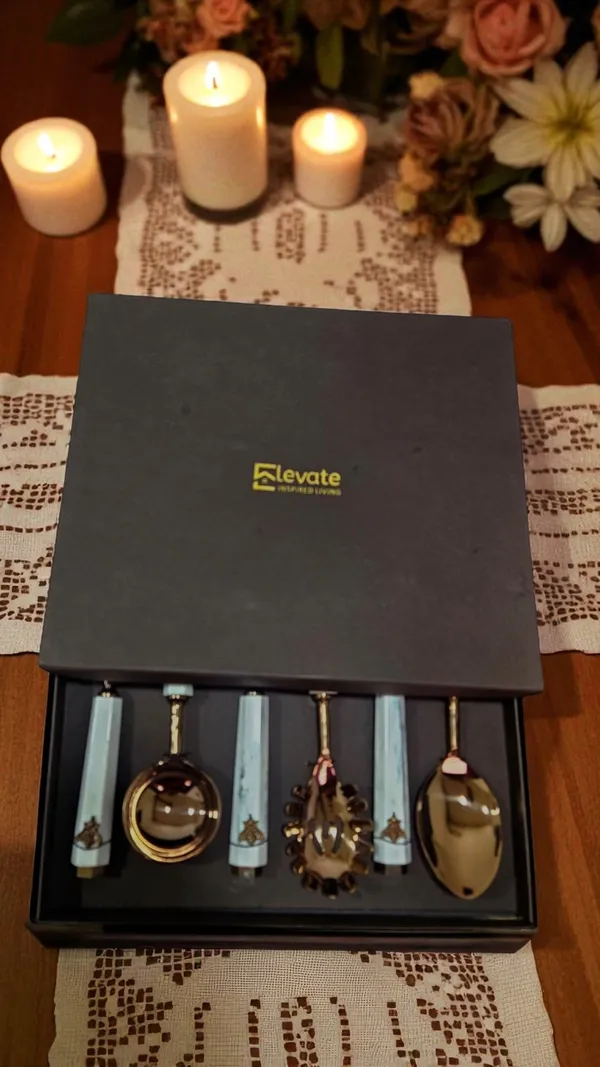 Golden_Hive_Serving_Spoon_Set_Of_6_Pcs