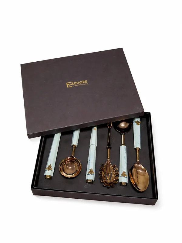 Golden_Hive_Serving_Spoon_Set_Of_6_Pcs