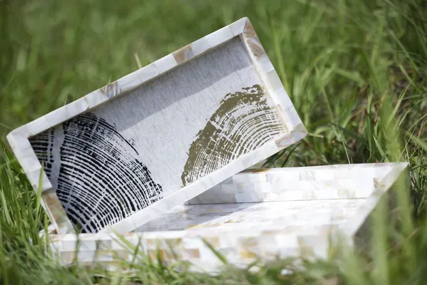 Mother_of_Pearl_Printed_Tray