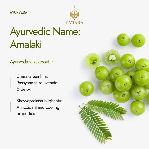 Jivtara_Pure_Amla_Herbal_Powder_Vitamin_C_And_Hair_Support_-_Pack_Of_2