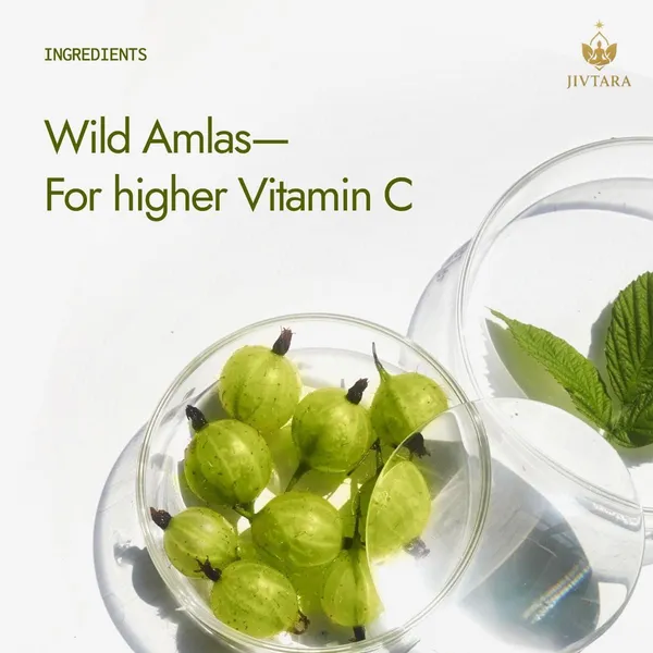 Jivtara_Pure_Amla_Herbal_Powder_Vitamin_C_And_Hair_Support_-_Pack_Of_2