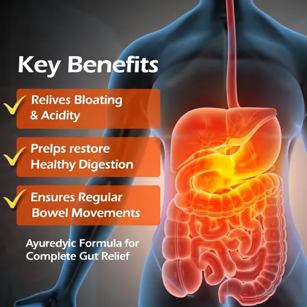 Jivtara_Ayurvedic_Digestive_Support_Powder_Psyllium_And_Haritaki