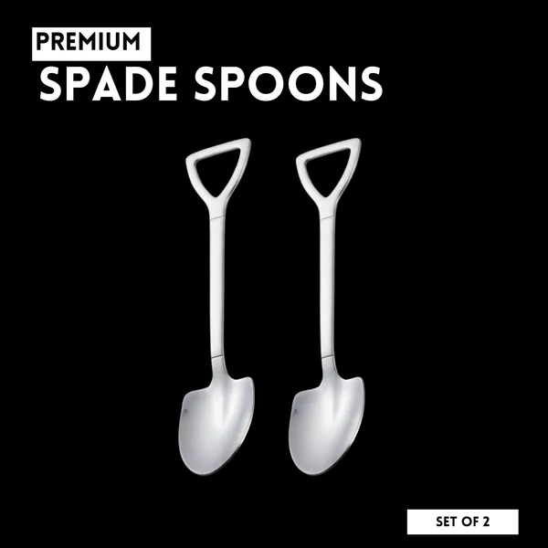 Silver_Triangle_Shaped_Spade_Spoon_Pack_Of_2