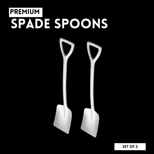 Silver_Square_Shaped_Spade_Spoon_Pack_Of_2