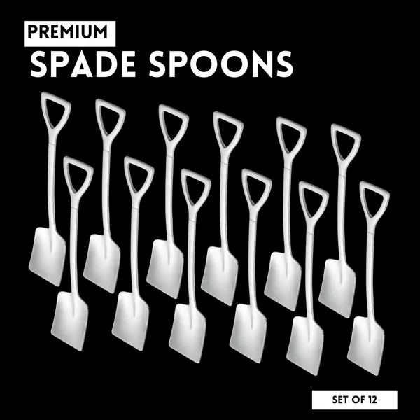 Silver_Square_Shaped_Spade_Spoon_Pack_Of_12