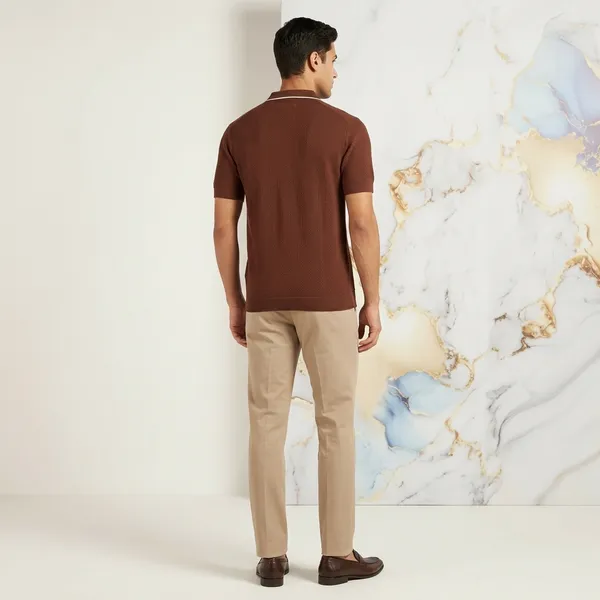 Brown_Cotton_Nylon_Textured_Knit_Regular_Fit_Polo_T-Shirt_For_Men