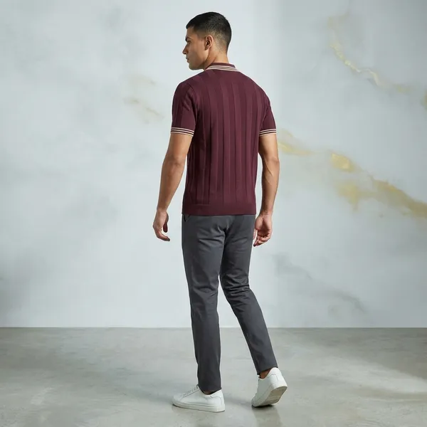 Wine_Cotton_Nylon_Striped_Knit_Zip_Collar_Polo_T-Shirt_For_Men