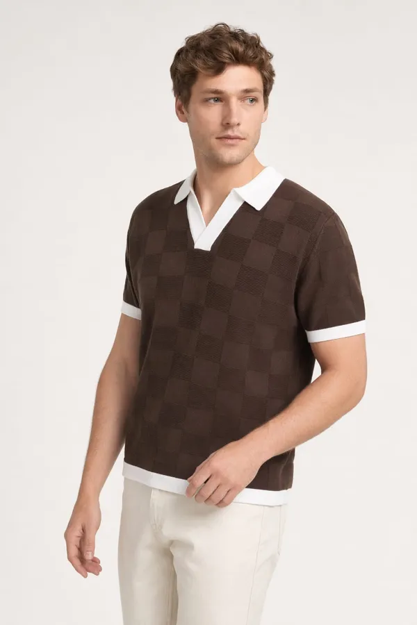 Chocolate_Brown_Cotton_Checkered_Regular_Fit_Polo_T-Shirt_For_Men
