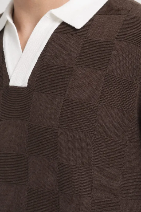 Chocolate_Brown_Cotton_Checkered_Regular_Fit_Polo_T-Shirt_For_Men