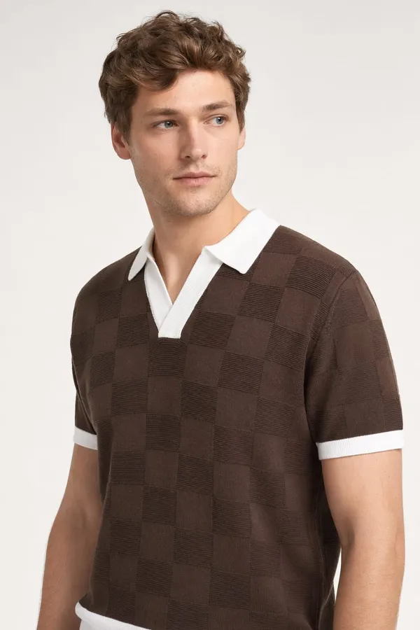 Chocolate_Brown_Cotton_Checkered_Regular_Fit_Polo_T-Shirt_For_Men
