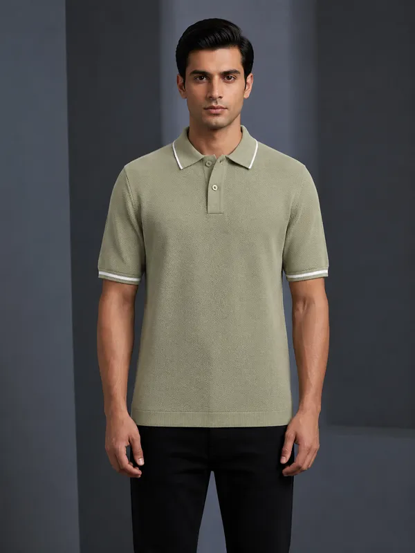 Olive_Green_Cotton_Nylon_Regular_Fit_Polo_T-Shirt_For_Men