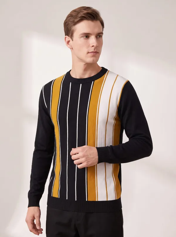 Black_Cotton_Striped_Crew_Neck_Full_Sleeve_T-Shirt_For_Men