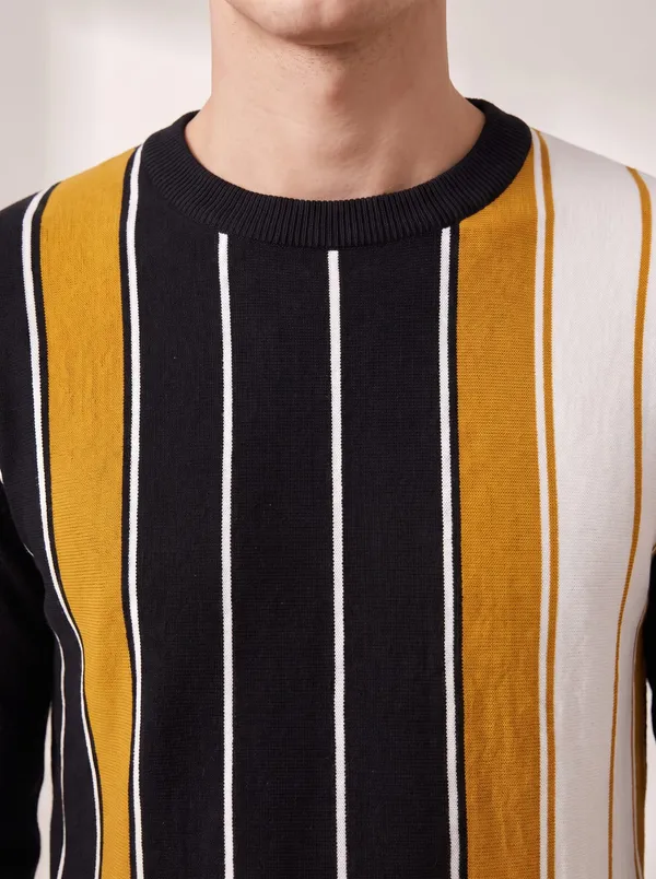 Black_Cotton_Striped_Crew_Neck_Full_Sleeve_T-Shirt_For_Men