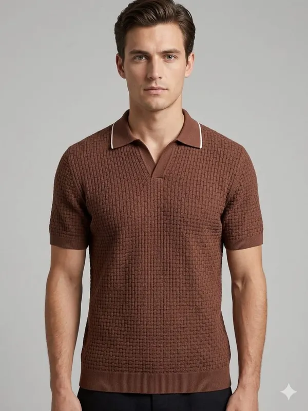 Brown_Cotton_Nylon_Textured_Knit_Regular_Fit_Polo_T-Shirt_For_Men