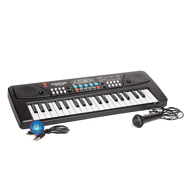 Electronic_Keyboard_37_Keys_8_Tones_8_Rhythms_With_Microphone
