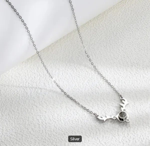 Silver_Crescent_Moon_Chain_Necklace_With_Stone_Accent