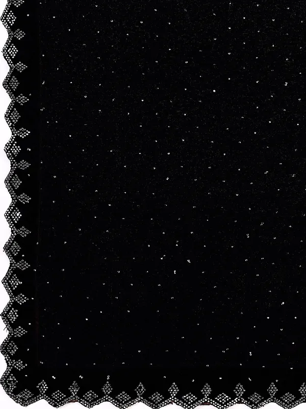 Leelavati_Embellished_Bollywood_Chiffon_Saree_Black