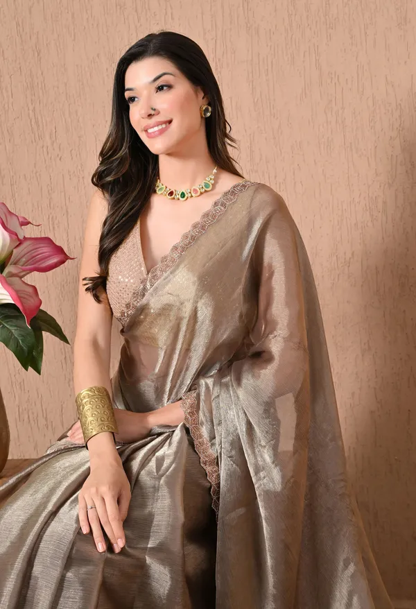 Leelavati_Embellished_Bollywood_Jimmy_Jimmy_Saree_Brown