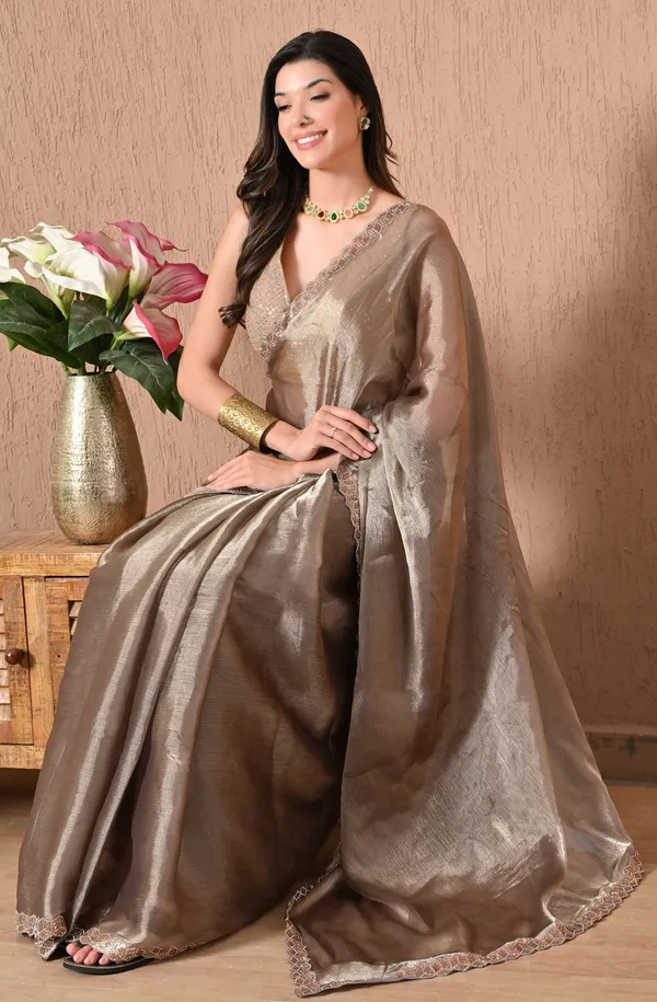 Leelavati_Embellished_Bollywood_Jimmy_Jimmy_Saree_Brown