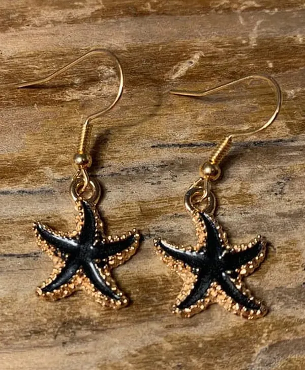 Black_Stainless_Steel_Alloy_Earrings_For_Women
