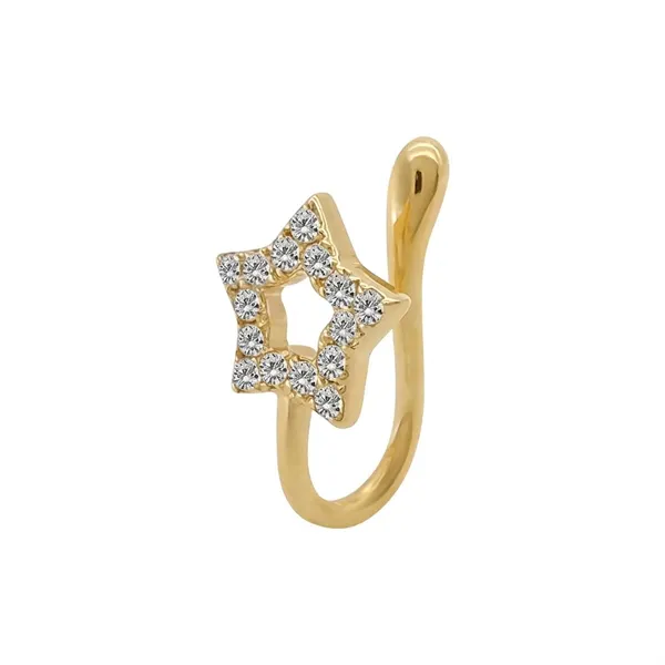 Gold_Stainless_Steel_Alloy_Nosepin_For_Women