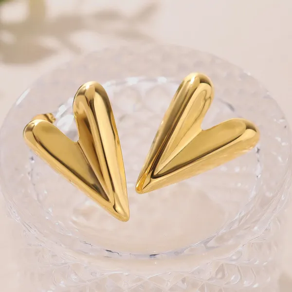 Gold_Stainless_Steel_Alloy_Earrings_For_Women