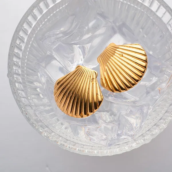 Gold_Stainless_Steel_Alloy_Earrings_For_Women